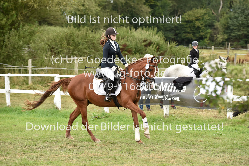 27.8.2017---Springreiter-Wettbewerb-128.jpg