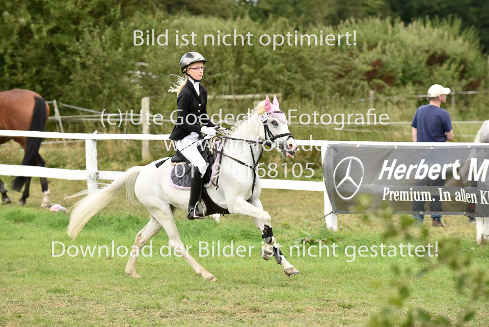 27.8.2017---Springreiter-Wettbewerb-129.jpg