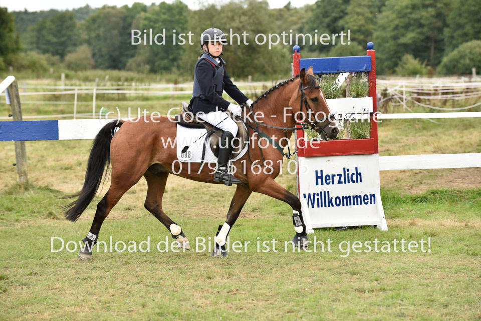 27.8.2017---Springreiter-Wettbewerb-130.jpg