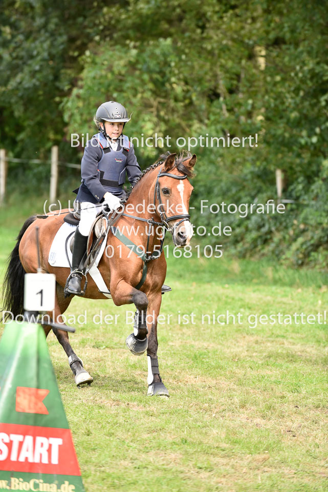 27.8.2017---Springreiter-Wettbewerb-135.jpg