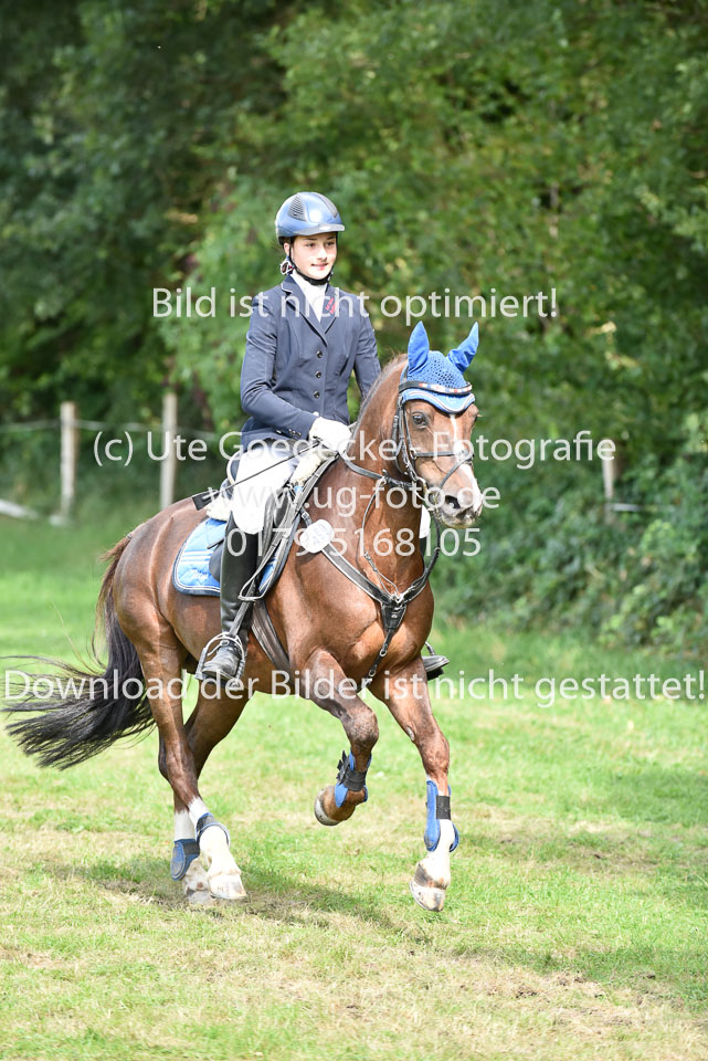 27.8.2017---Springreiter-Wettbewerb-140.jpg