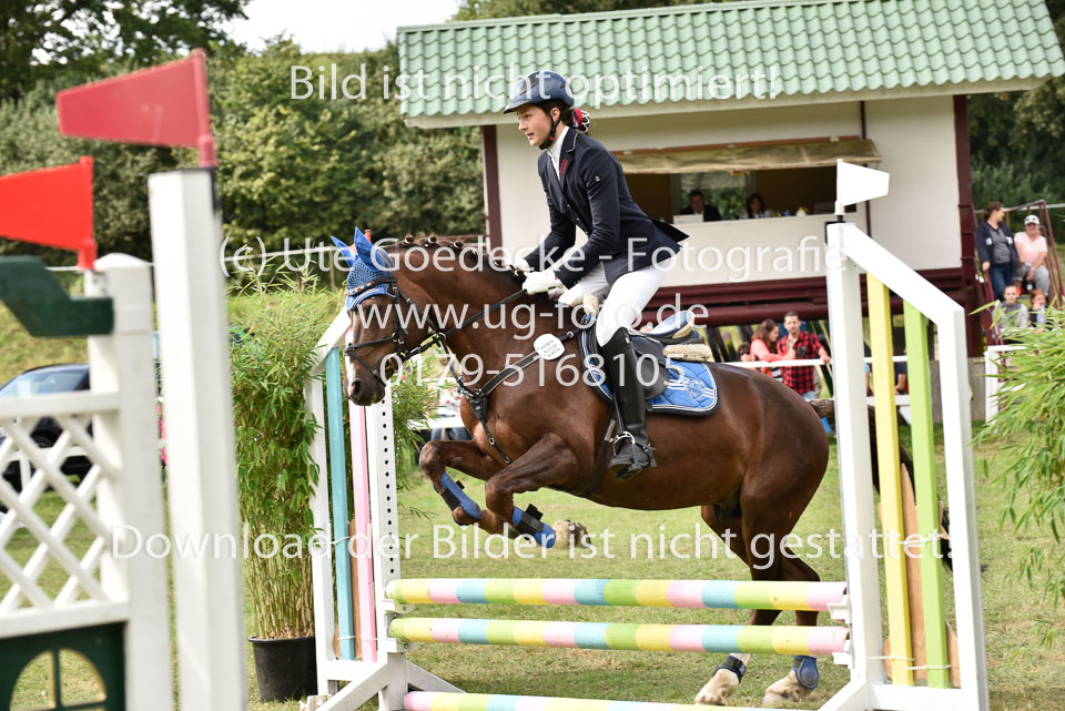 27.8.2017---Springreiter-Wettbewerb-144.jpg
