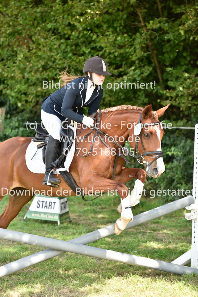 27.8.2017---Springreiter-Wettbewerb-147.jpg