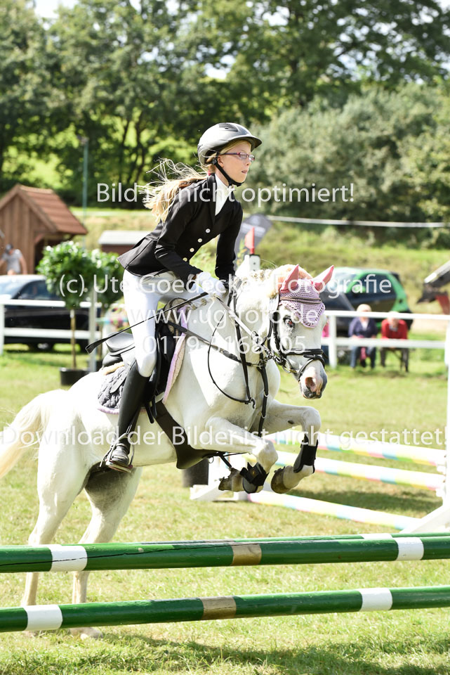 27.8.2017---Springreiter-Wettbewerb-152.jpg