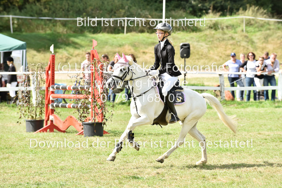27.8.2017---Springreiter-Wettbewerb-153.jpg