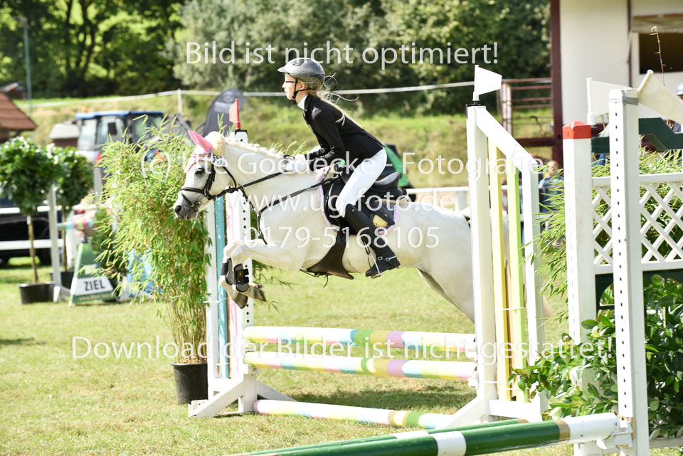 27.8.2017---Springreiter-Wettbewerb-154.jpg