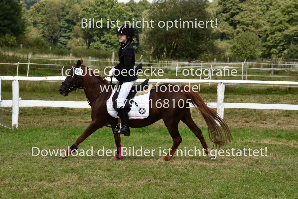 27.8.2017---Springreiter-Wettbewerb-18.jpg