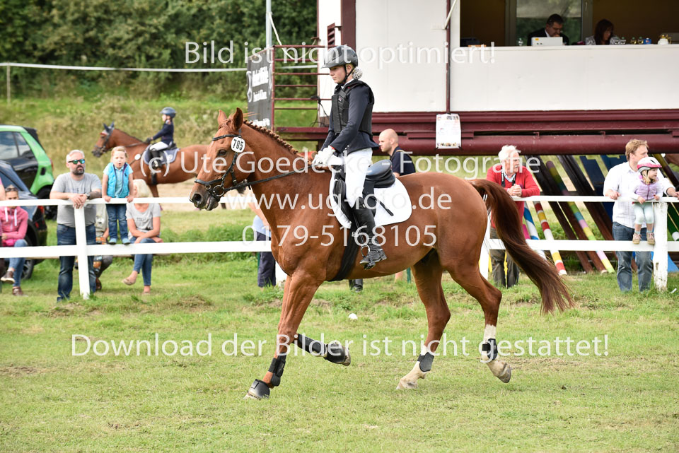 27.8.2017---Springreiter-Wettbewerb-35.jpg
