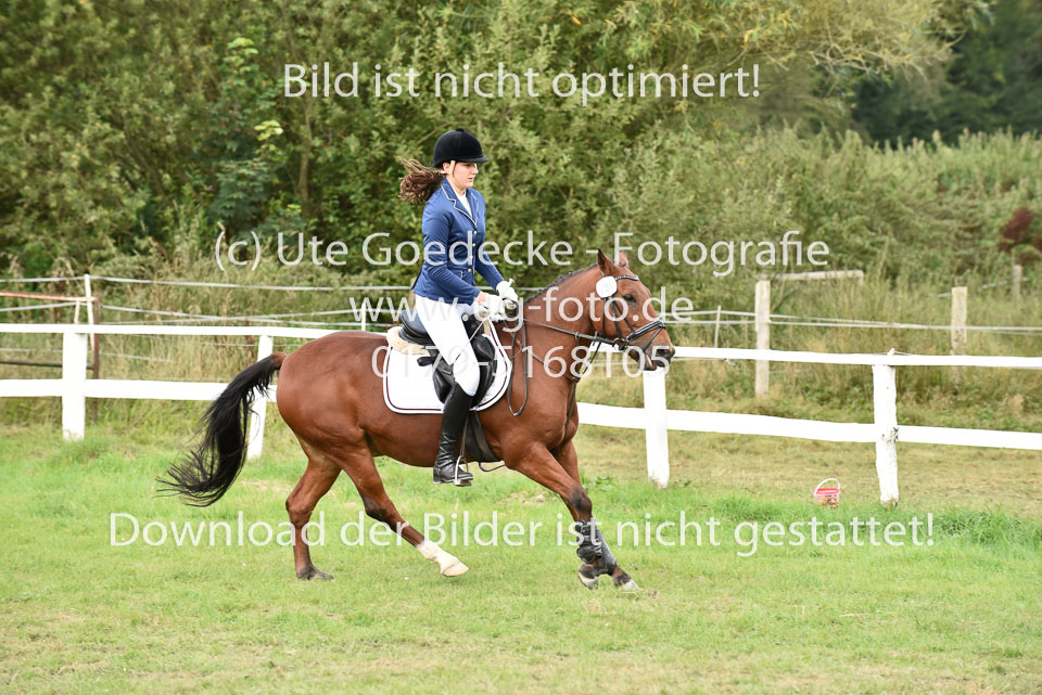 27.8.2017---Springreiter-Wettbewerb-47.jpg