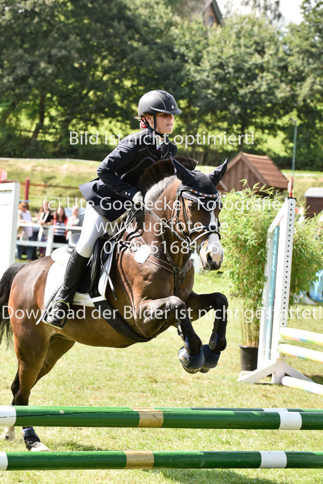 27.8.2017---Springreiter-Wettbewerb-79.jpg