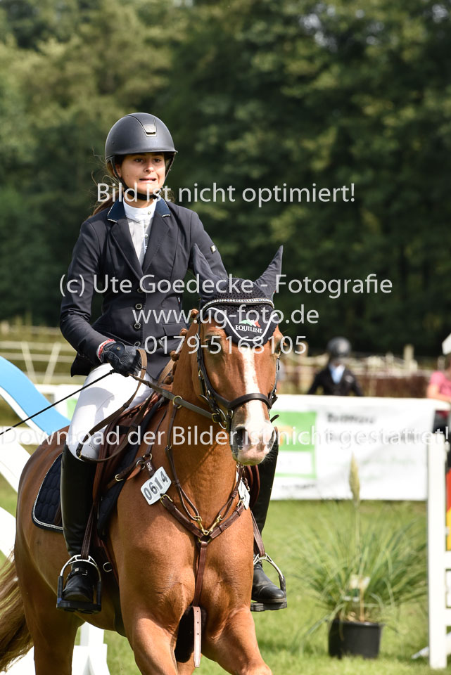 26.8.2017---Stilspringen-Kl-A---LK-5-235.jpg