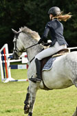 Stielspringen KL A LK 5