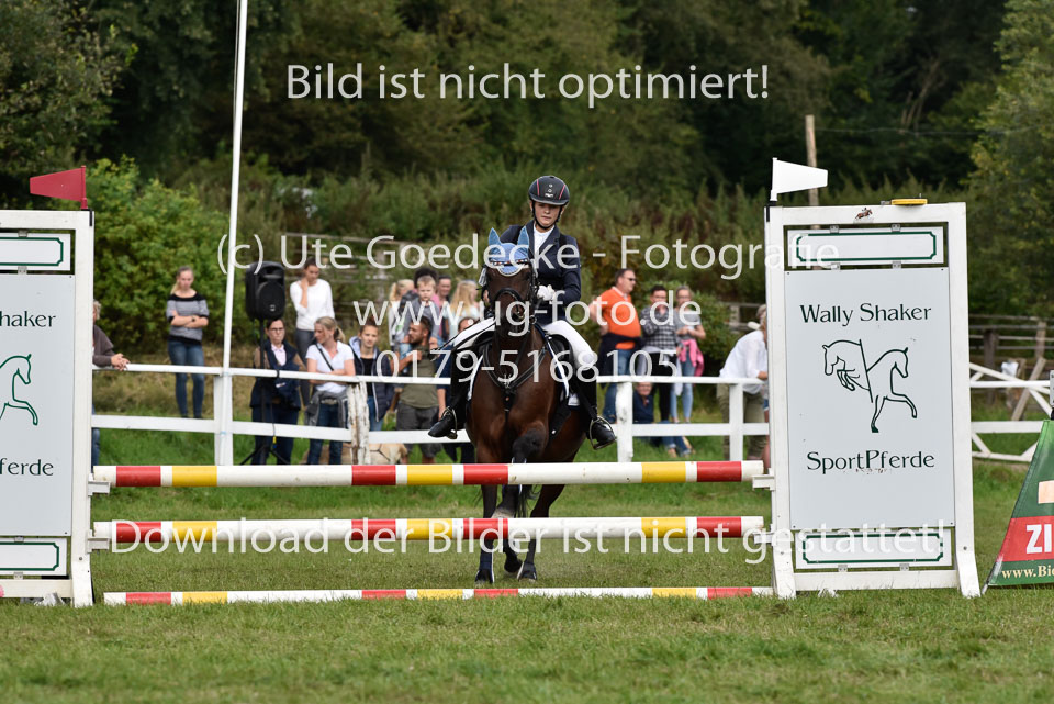 27.8.2017---Stilspringen-WB,-LK-0-103.jpg