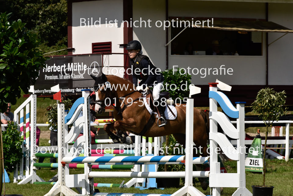 27.8.2017---Stilspringen-WB,-LK-0-141.jpg
