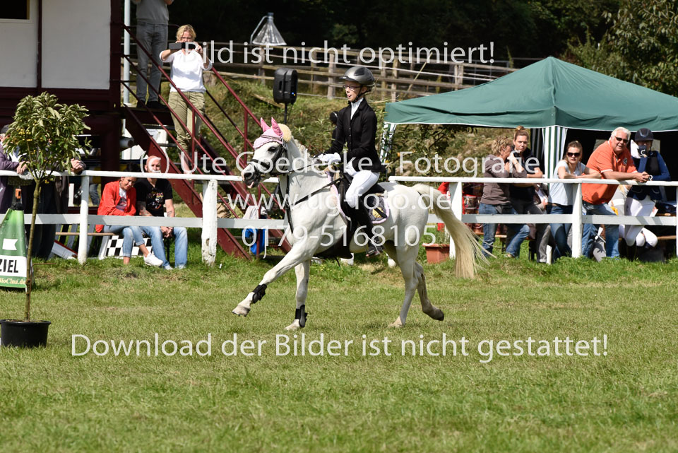 27.8.2017---Stilspringen-WB,-LK-0-161.jpg