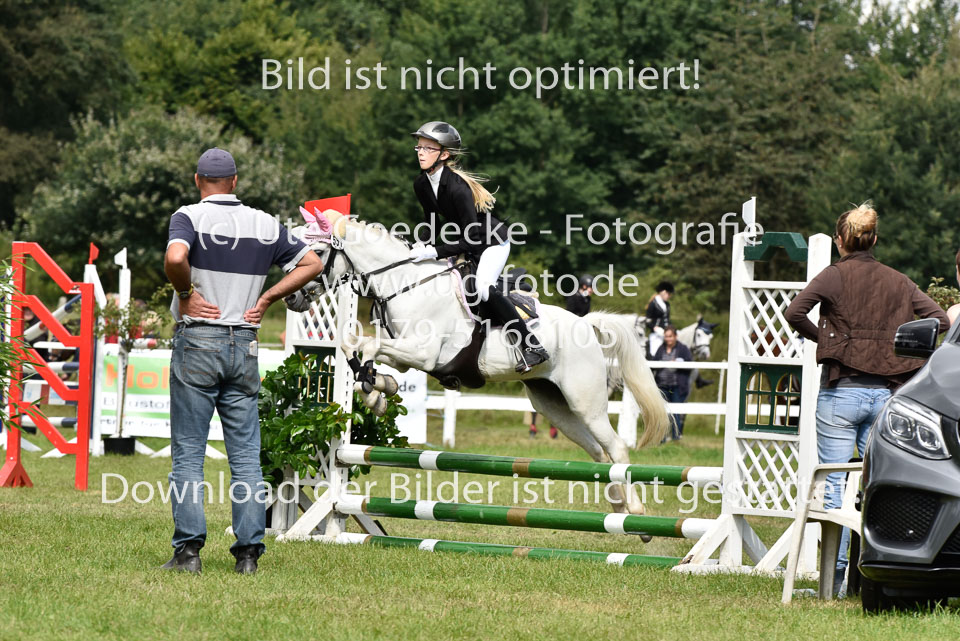 27.8.2017---Stilspringen-WB,-LK-0-167.jpg