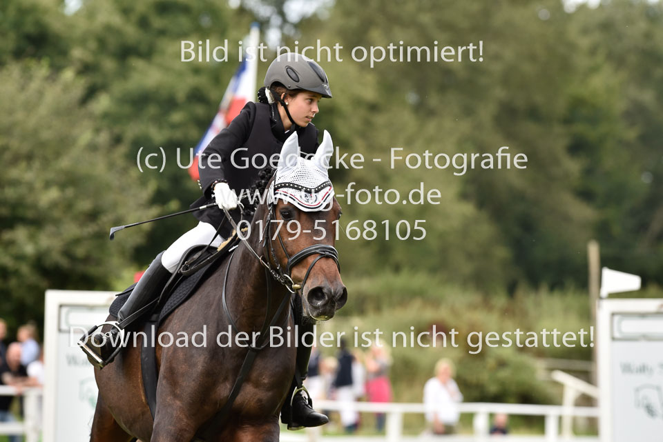 27.8.2017---Stilspringen-WB,-LK-0-17.jpg