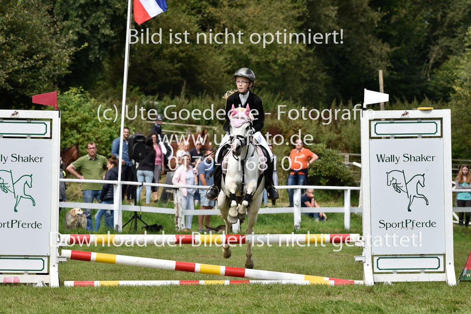 27.8.2017---Stilspringen-WB,-LK-0-171.jpg
