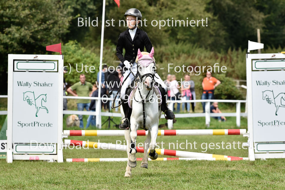 27.8.2017---Stilspringen-WB,-LK-0-172.jpg