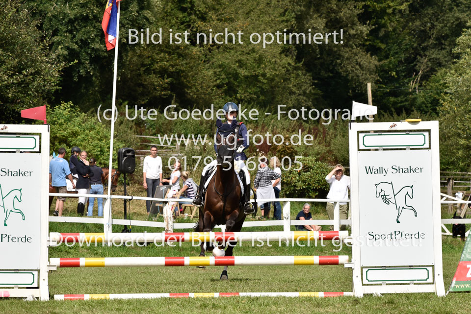 27.8.2017---Stilspringen-WB,-LK-0-39.jpg