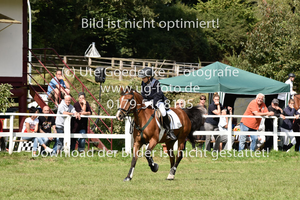 27.8.2017---Stilspringen-WB,-LK-0-63.jpg