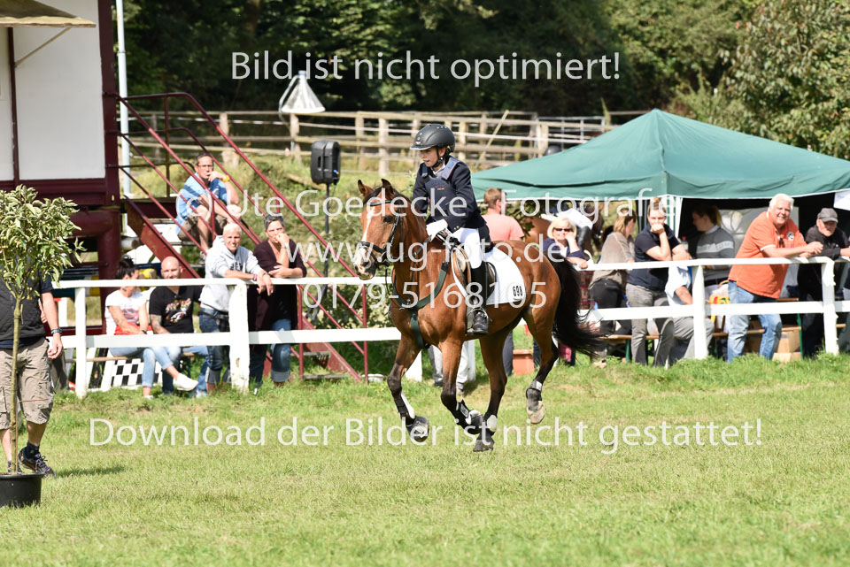 27.8.2017---Stilspringen-WB,-LK-0-64.jpg