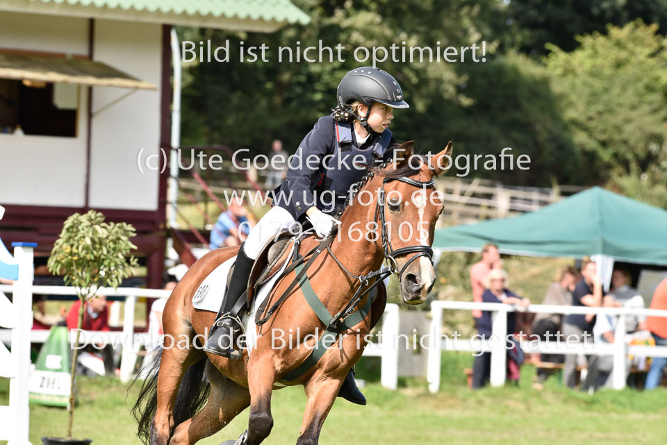 27.8.2017---Stilspringen-WB,-LK-0-72.jpg