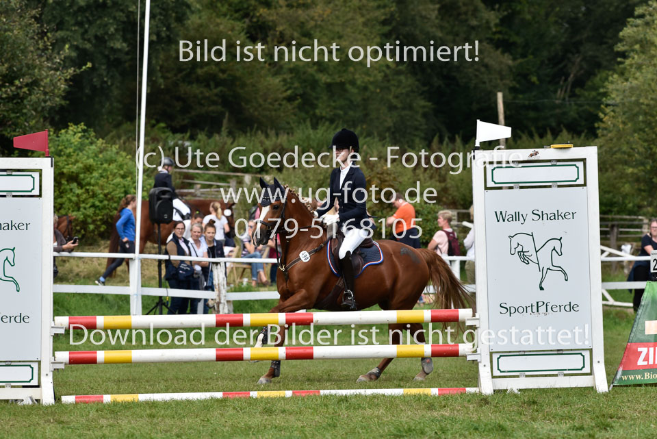 27.8.2017---Stilspringen-WB,-LK-0-89.jpg