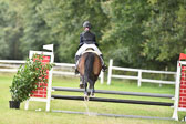 27.8.2017---Stilspringen-WB,-LK-0-118.jpg