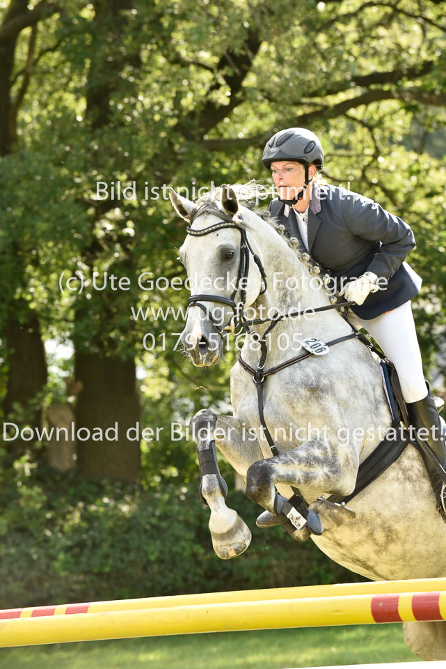 27.8.2017---Stilspringen-KL-L-LK-4-5-109.jpg