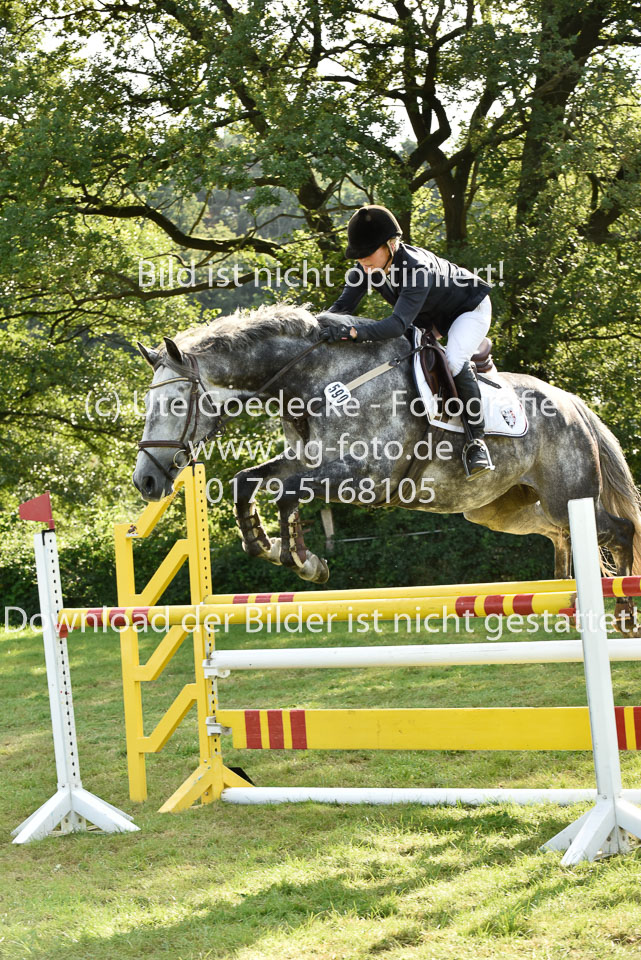 27.8.2017---Stilspringen-KL-L-LK-4-5-11.jpg