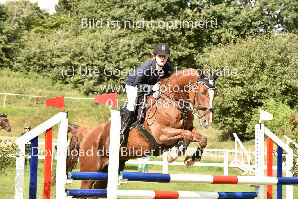 27.8.2017---Stilspringen-KL-L-LK-4-5-112.jpg