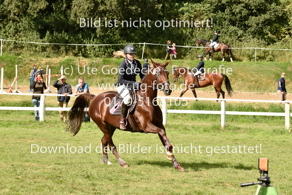 27.8.2017---Stilspringen-KL-L-LK-4-5-116.jpg