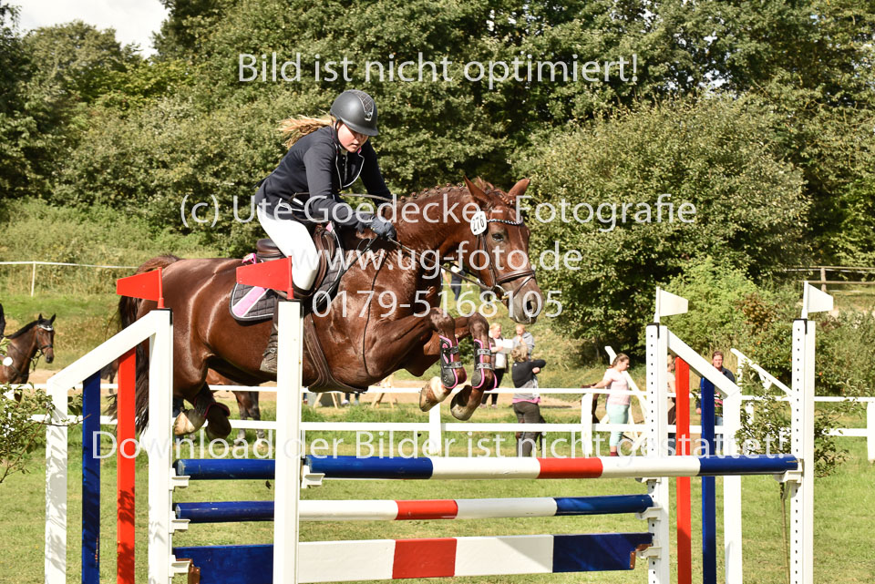 27.8.2017---Stilspringen-KL-L-LK-4-5-117.jpg