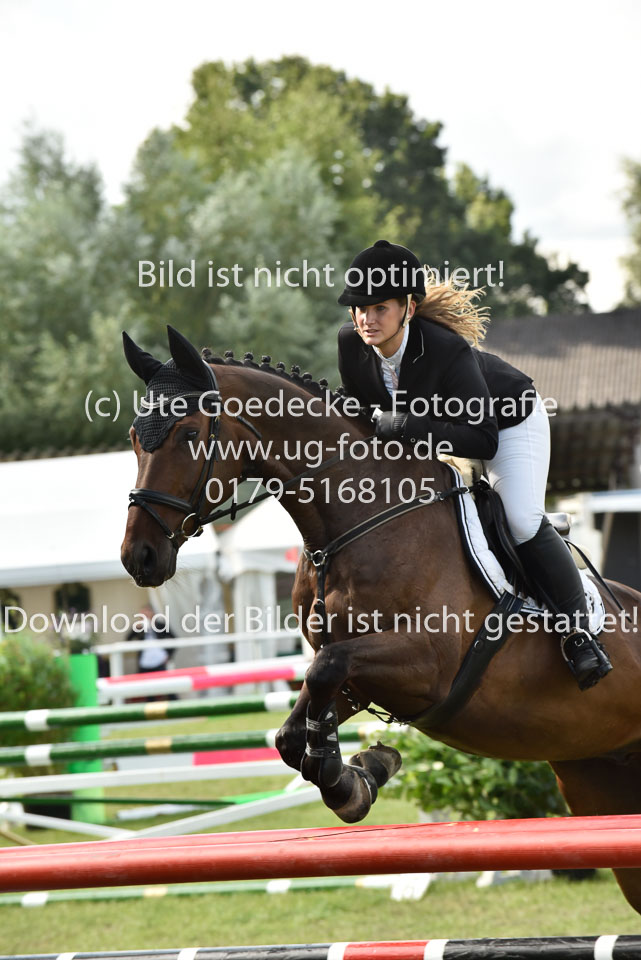 27.8.2017---Stilspringen-KL-L-LK-4-5-118.jpg
