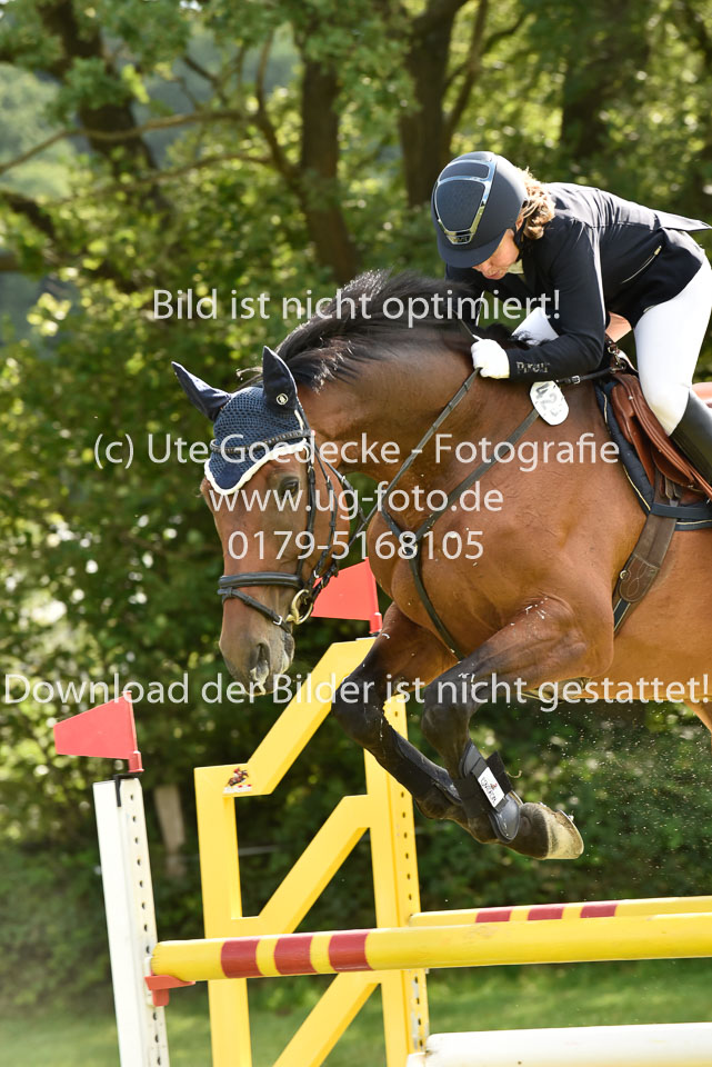27.8.2017---Stilspringen-KL-L-LK-4-5-127.jpg