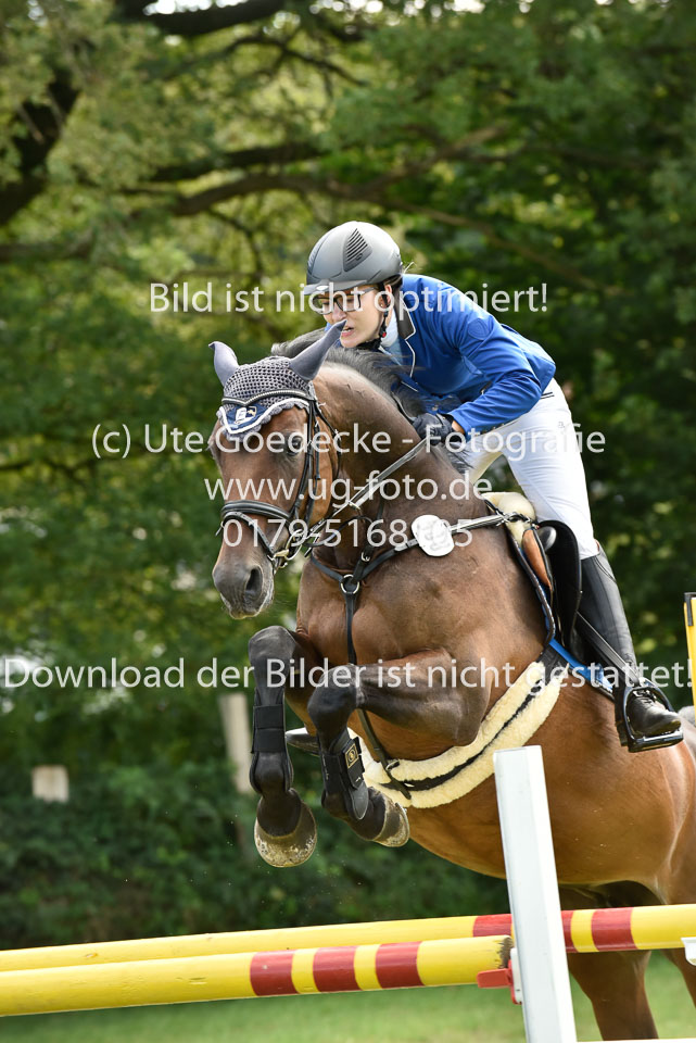 27.8.2017---Stilspringen-KL-L-LK-4-5-138.jpg