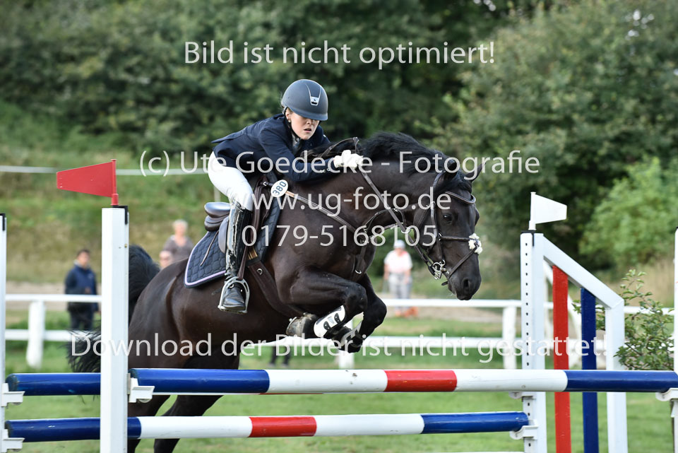 27.8.2017---Stilspringen-KL-L-LK-4-5-149.jpg