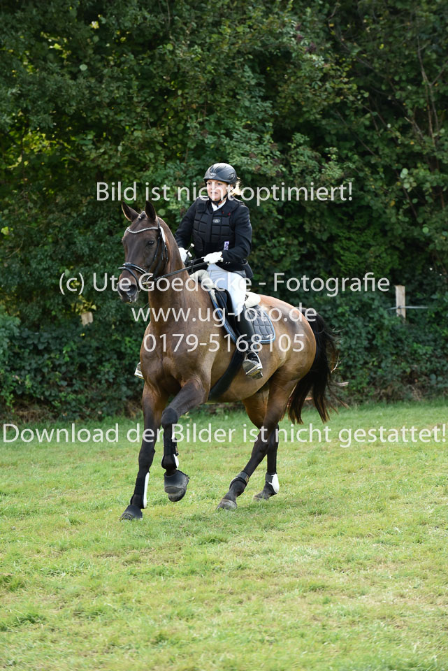 27.8.2017---Stilspringen-KL-L-LK-4-5-15.jpg