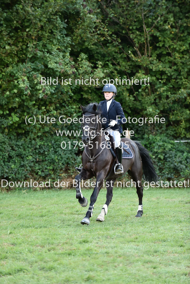 27.8.2017---Stilspringen-KL-L-LK-4-5-150.jpg