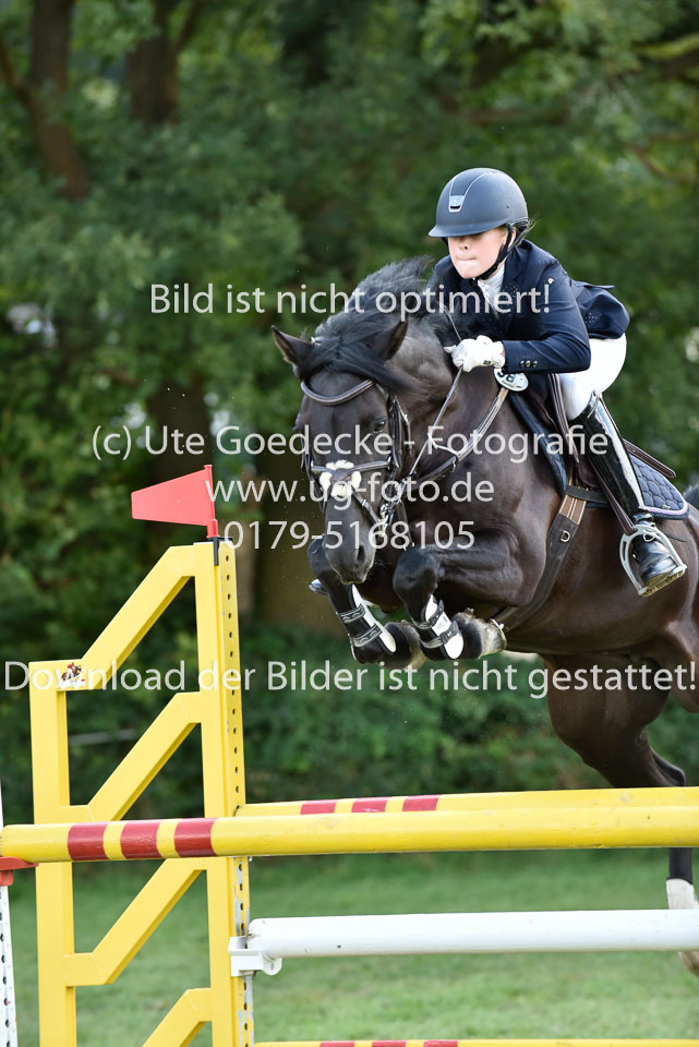 27.8.2017---Stilspringen-KL-L-LK-4-5-152.jpg