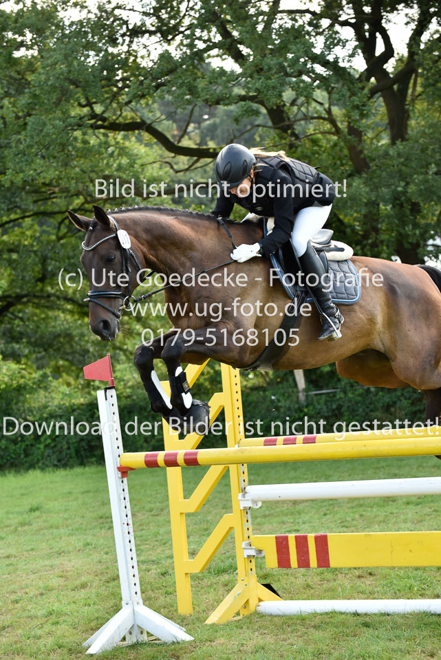 27.8.2017---Stilspringen-KL-L-LK-4-5-17.jpg