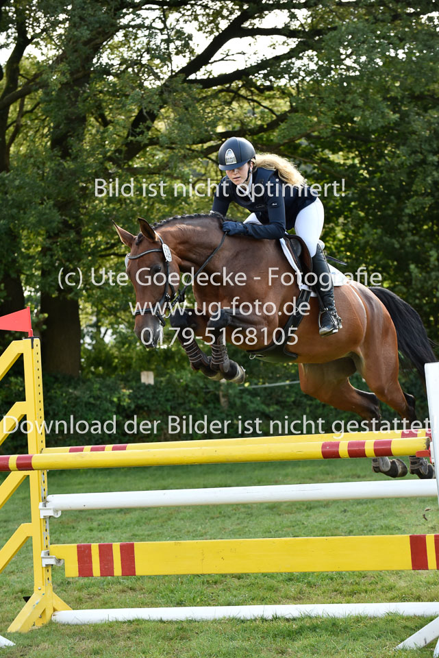 27.8.2017---Stilspringen-KL-L-LK-4-5-21.jpg