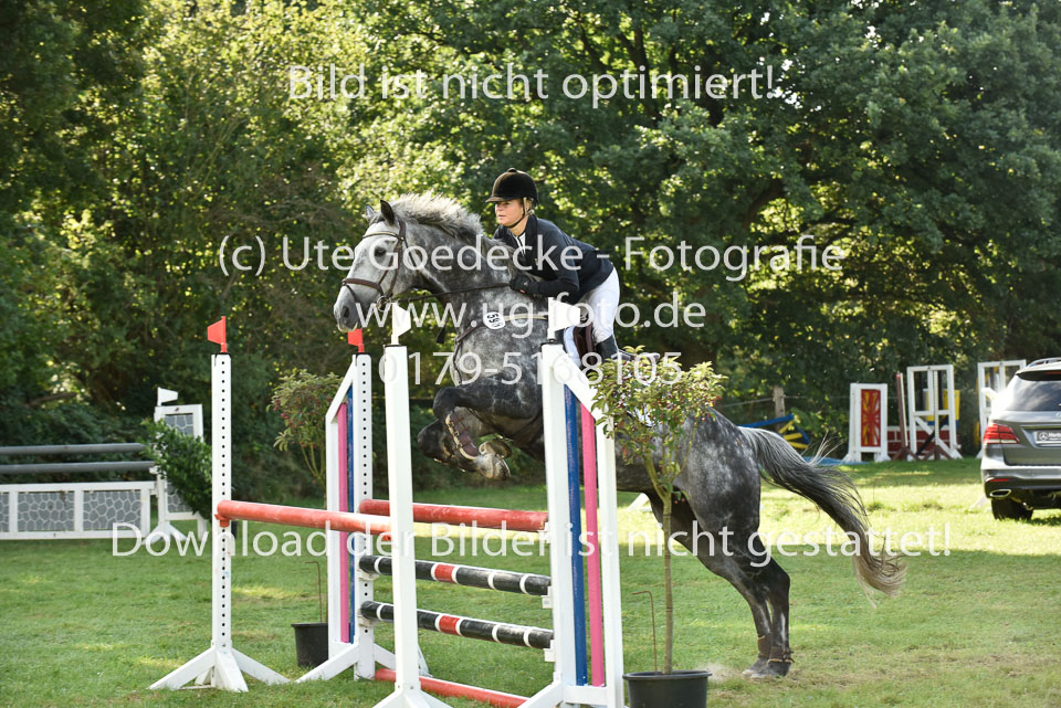 27.8.2017---Stilspringen-KL-L-LK-4-5-4.jpg