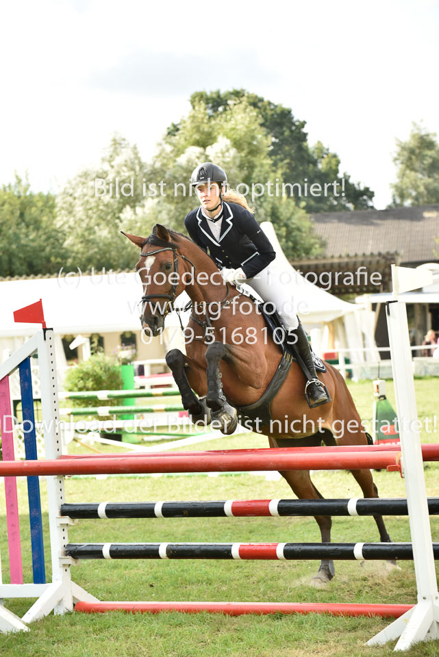 27.8.2017---Stilspringen-KL-L-LK-4-5-41.jpg