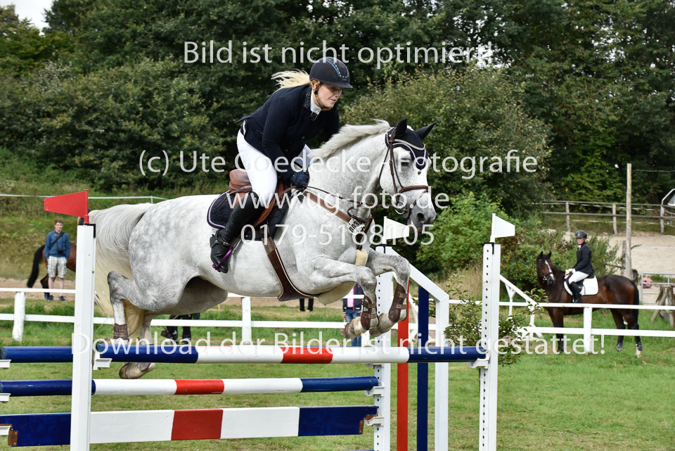 27.8.2017---Stilspringen-KL-L-LK-4-5-49.jpg