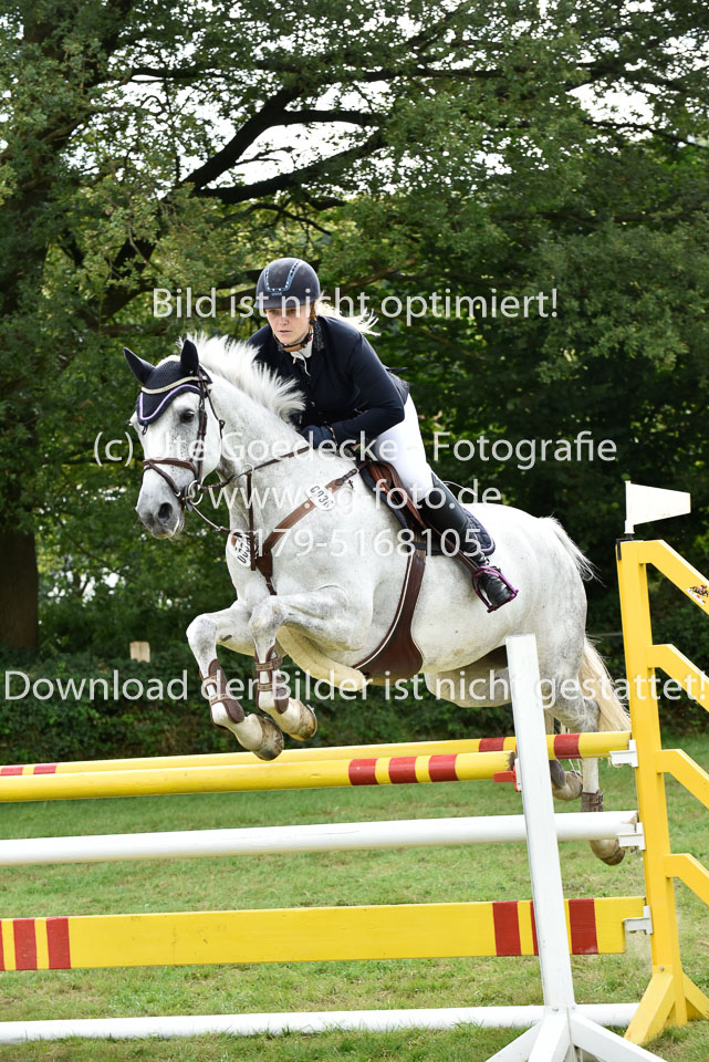 27.8.2017---Stilspringen-KL-L-LK-4-5-50.jpg