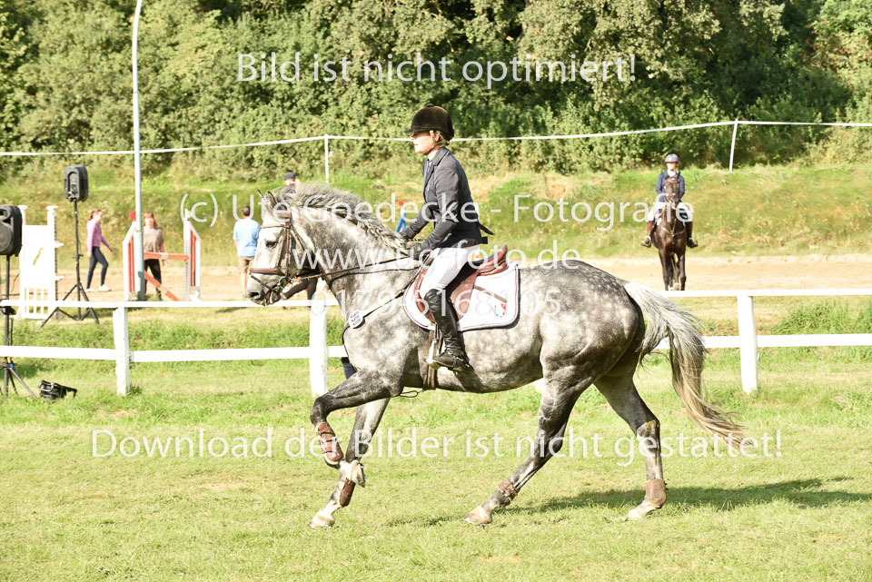27.8.2017---Stilspringen-KL-L-LK-4-5-6.jpg
