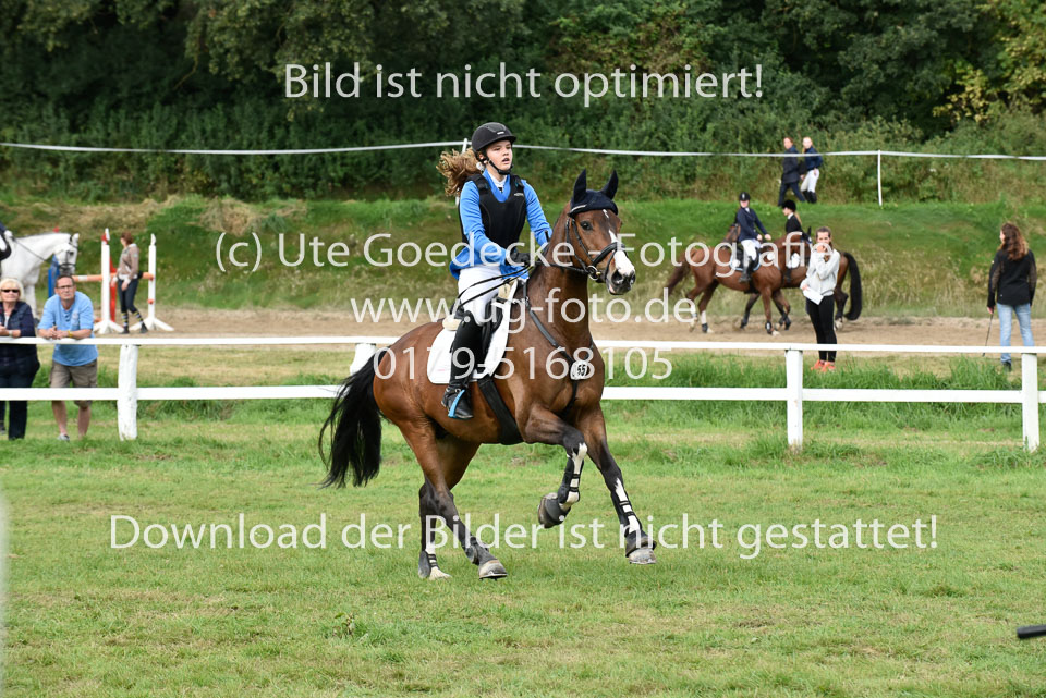 27.8.2017---Stilspringen-KL-L-LK-4-5-61.jpg