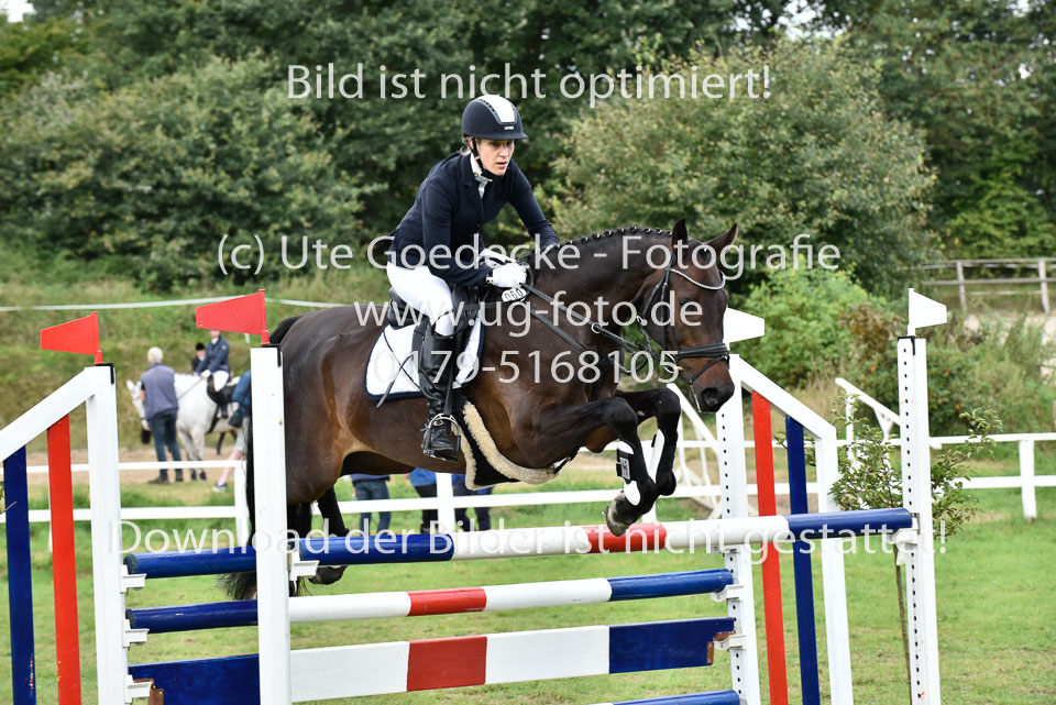 27.8.2017---Stilspringen-KL-L-LK-4-5-67.jpg